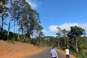 Thanh tra toàn diện dự án lấy đất rừng làm khu biệt thự