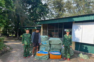 Biên phòng Trà Cổ bắt giữ 600kg nội tạng lợn đông lạnh nhập lậu trên biển