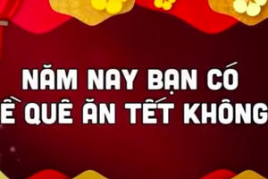 Tiêu điểm: Mang ấm no về cho Tết