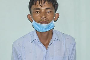 Mâu thuẫn với vợ, cầm thanh sắt đánh mẹ vợ đến chết