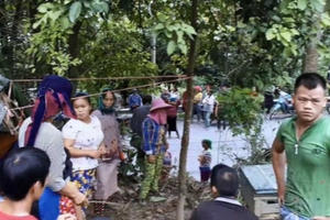 Hà Giang: Tự ý mở nắp thùng, bắt đền bạc triệu khi bị ong đốt Hà Giang: Tự ý mở nắp thùng, bắt đền bạc triệu khi bị ong đốt