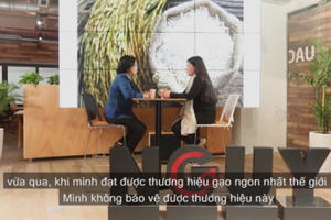 Bà Vũ Kim Hạnh: 'Doanh nghiệp yếu là gánh nặng nền kinh tế'