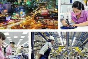 Tổng điều tra kinh tế năm 2021