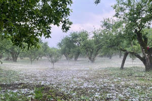 Sơn La xuất hiện mưa đá trắng xoá tại Mộc Châu