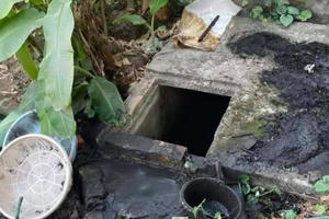 Bộ hài cốt trong bể nước bỏ hoang ở Hải Phòng: Lộ diện danh tính người phụ nữ mất tích hơn một thập kỷ