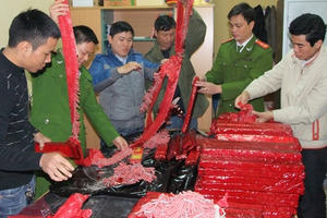 Yêu cầu công an các tỉnh quyết liệt ngăn ngừa đốt pháo đêm Giao thừa