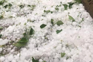 Mưa đá to như quả trứng tàn phá hàng trăm nhà dân ở Nghệ An