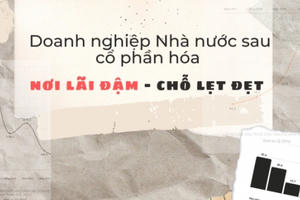 Doanh nghiệp Nhà nước sau cổ phần hóa, nơi lãi đậm - chỗ lẹt đẹt