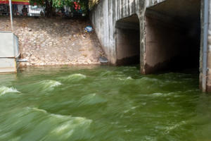 Chuyên gia Nhật Bản phản bác vụ xả nước Hồ Tây vào sông Tô Lịch