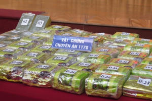 Nam Định: Triệt phá đường dây mua bán, vận chuyển 45kg ma tuý đá và 30 bánh heroin