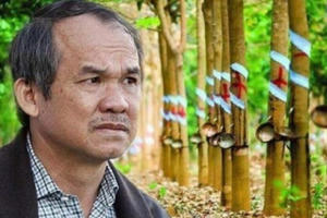 Thời cơ hàn của những người nổi tiếng