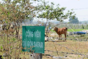 Nhiều người dân tại TP HCM sẽ thoát quy hoạch "treo"
