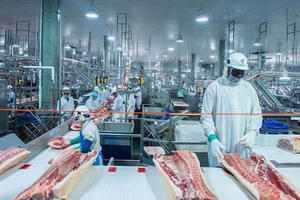 Giá lợn hơi giảm sâu kỷ lục, Việt Nam vẫn ồ ạt nhập thịt ngoại