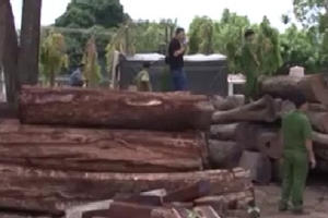 Tin nhanh ngày 28/8/2018: Khởi tố, bắt tạm giam hạt trưởng kiểm lâm ở Đắk Lắk