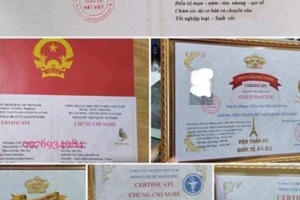 Thế giới chứng chỉ giả “phủ kín” không gian ảo