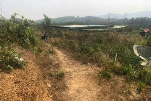 Đắk Nông: Phát hiện một thi thể nam giới ở nghĩa trang