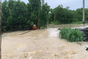 Bình Thuận: Làng bị ngập nặng do lấp suối làm đường dẫn cao tốc Phan Thiết - Dầu Giây