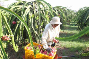 Dịch bệnh Virus Corona: Bộ Nông nghiệp họp khẩn về xuất khẩu nông sản sang Trung Quốc