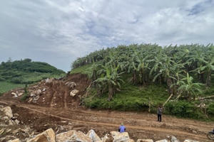 Cận cảnh điểm khai thác 508m3 đá trái phép tại huyện Nghĩa Đàn