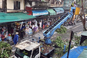 Hà Nội mưa liên tục sau bão số 3, cây xanh gãy đổ ở nhiều nơi