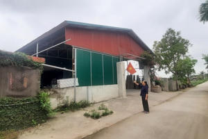 Người dân mong UBND phường Đức Hợp xác minh lại nguồn gốc đất