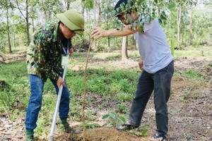 Trồng 500 cây gỗ quý tại Khu bảo tồn Thiên nhiên văn hóa Đồng Nai