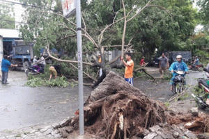 Đà Nẵng: Chuẩn bị các phương án ứng phó với áp thấp nhiệt đới trên biển Đông