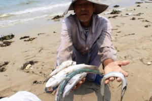 Truyền thông thế giới đồng loạt đưa tin về thủ phạm gây ra vụ cá chết hàng loạt ở Việt Nam
