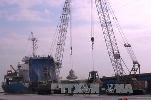 Ngành hàng hải lùi thời hạn kiểm tra tàu biển để phòng dịch COVID-19