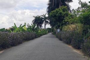 Hải Phòng: Cán bộ quản lý đô thị bị hai kẻ lạ mặt chém trọng thương