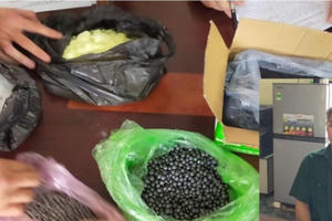 Bắt "lão đại" chuyên chế tạo súng và đạn tự chế