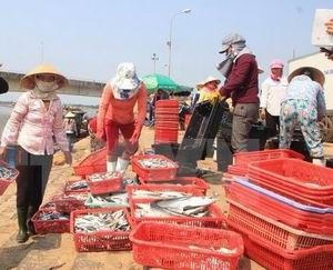 Triển khai bồi thường thiệt hại sự cố môi trường biển tại 4 tỉnh miền Trung