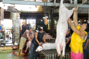 Con tem có làm nên miếng thịt sạch?