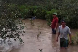 Quảng Ninh: Sét đánh khiến một người tử vong