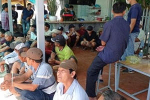 Bình Thuận: Thông tin mới nhất về vụ Công an triệt phá trường gà quy mô lớn ở Mũi Né