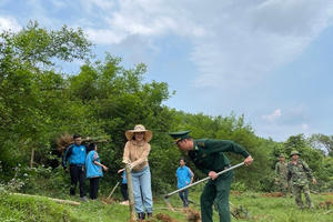Quảng Ninh: Một dải biên cương xanh Quảng Ninh: Một dải biên cương xanh