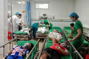 Nghệ An: Bị tổ ong ở trường tấn công, 16 học sinh nhập viện