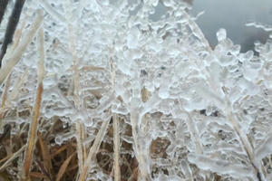 Nhiều nơi ở Hà Giang và Lào Cai xuất hiện băng giá