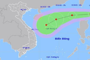Ngày mai, Biển Đông lại có áp thấp nhiệt đới