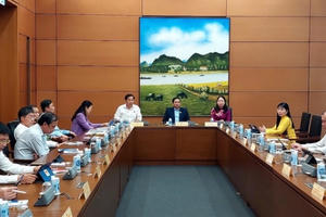 Phân cấp nhiều hơn để Trung ương chủ đạo, địa phương chủ động