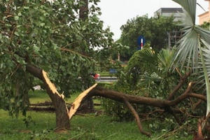 Bão số 2 quét qua, mưa to khắp 2 miền