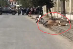 Hà Nội: Tập trung truy bắt nghi phạm giết người giữa phố