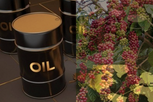 Giá dầu WTI quay đầu tăng, mặt hàng cà phê phân hóa