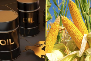 Sắc đỏ bao trùm thị trường năng lượng: Giá dầu giảm mạnh