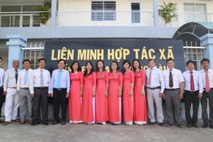 Tỉnh Bà Rịa - Vũng Tàu đẩy mạnh phong trào phát triển kinh tế tập thể, Hợp tác xã