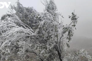 Dự báo thời tiết hôm nay: Vùng núi cao có khả năng xảy ra băng giá, mưa tuyết