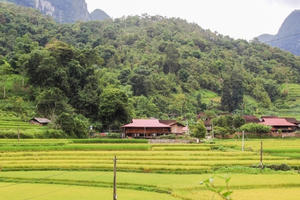 Nghệ An tích cực triển khai các tiểu Dự án thuộc Chương trình mục tiêu quốc gia