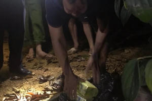 [Video]: "Khai quật" lô ma túy "khủng" trong vườn nhà "ông trùm"