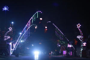 Độc đáo cung đường nêu đón Tết tại Nghệ An