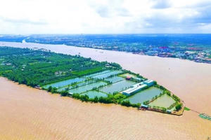 Cần Thơ thu hồi chủ trương đầu tư Khu du lịch Cồn Sơn của Tập đoàn TMS